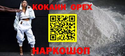 шишки Дубна