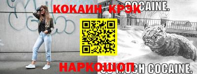 шишки Дубна