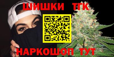 шишки Дубна