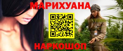 шишки Дубна