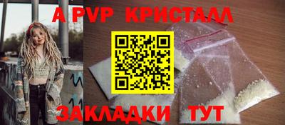 шишки Дубна